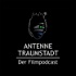 Antenne Traumstadt - Der Filmpodcast