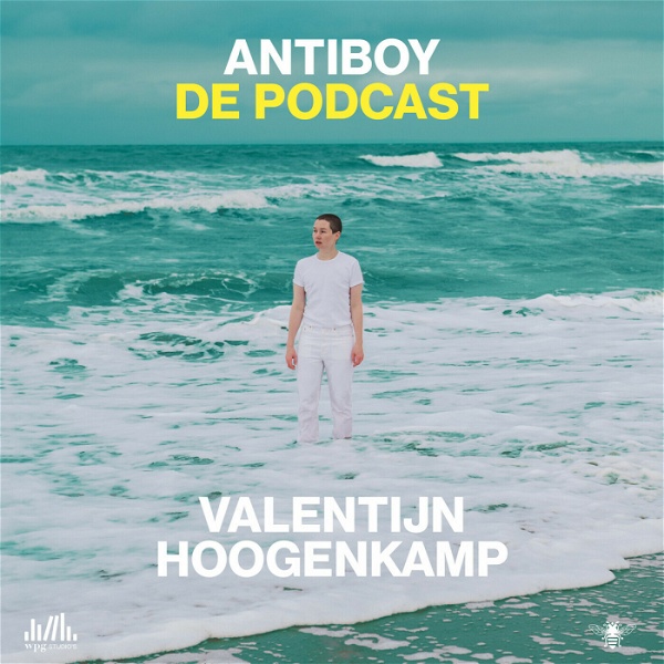 Artwork for Antiboy: de podcast