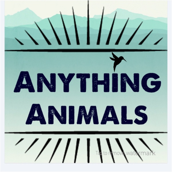 Artwork for Anything Animals