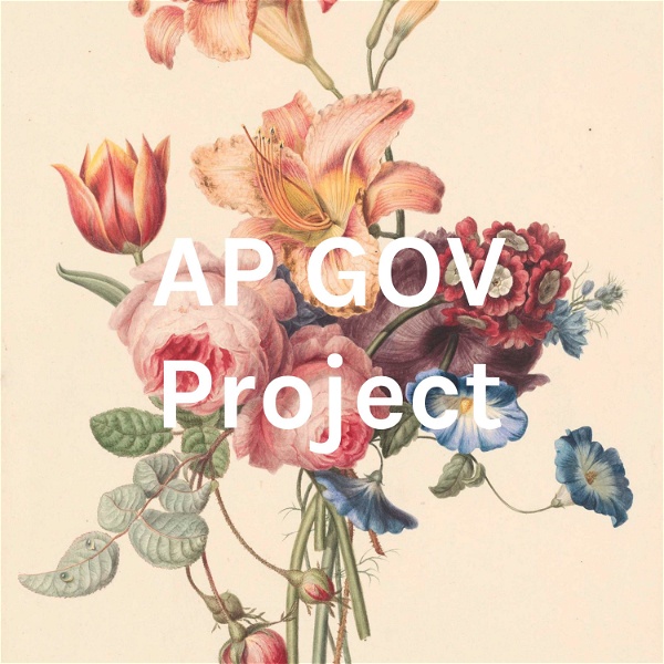 Artwork for AP GOV Project