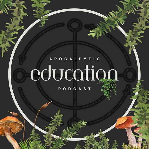 Artwork for Apocalyptic Education