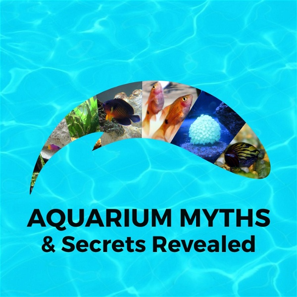 Artwork for Aquarium Myths and Secrets Revealed