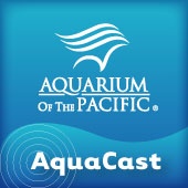 Artwork for Aquarium of the Pacific AquaCast