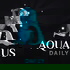 Aquarius Daily