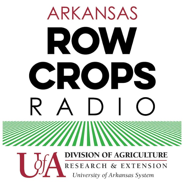 Artwork for Arkansas Row Crops Radio