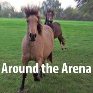 Artwork for Around the Arena
