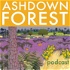 Ashdown Forest podcast