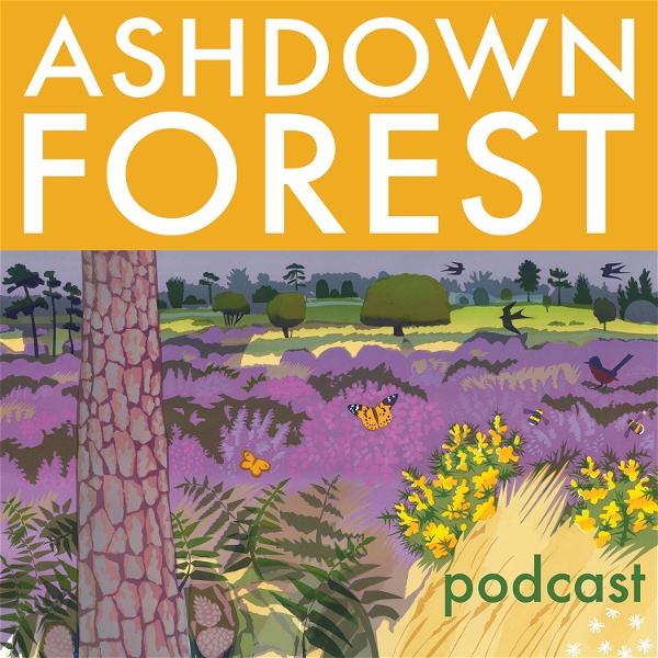 Artwork for Ashdown Forest podcast