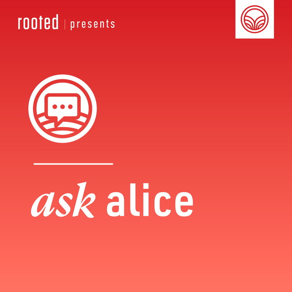 Artwork for Ask Alice