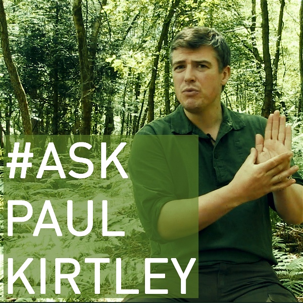 Artwork for #AskPaulKirtley