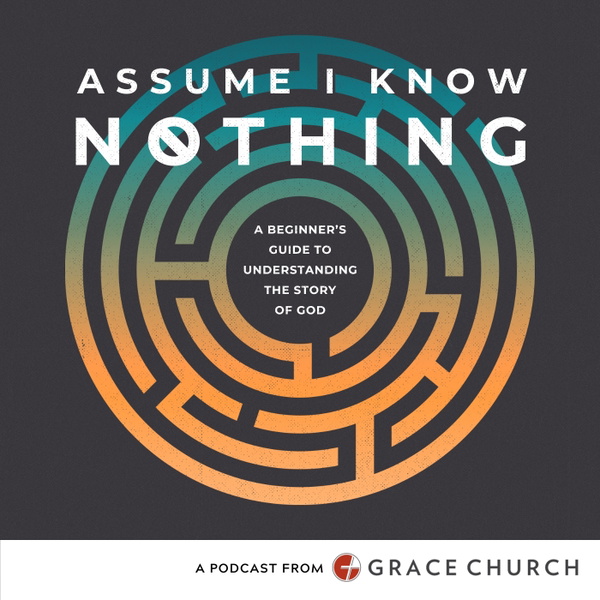 Artwork for Assume I Know Nothing