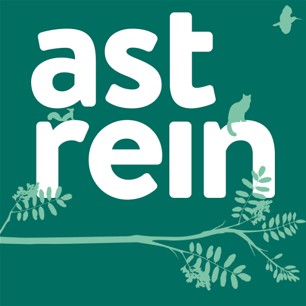 Artwork for astrein – Wald.Mensch.Wissen