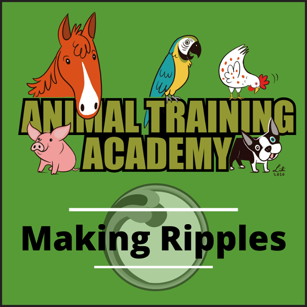 Artwork for Animal Training Academy: Making Ripples