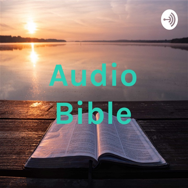 Artwork for Audio Bible
