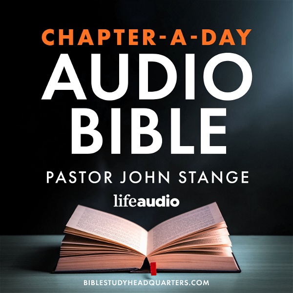 Artwork for Chapter-A-Day Audio Bible