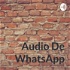 Audio De WhatsApp