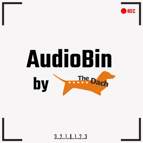 Artwork for AudioBin