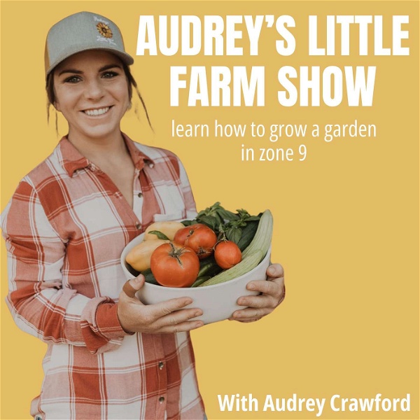 Artwork for Audrey's Little Farm Show