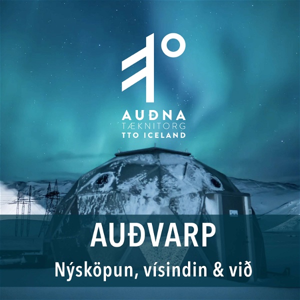Artwork for Auðvarp