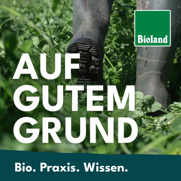 Artwork for Auf gutem Grund