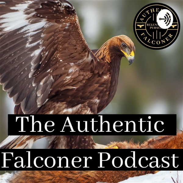 Artwork for Authentic Falconer Falconry Podcast