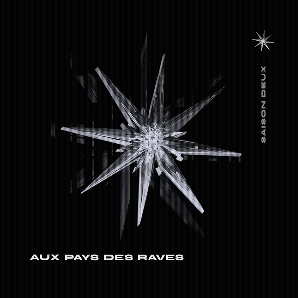 Artwork for Aux pays des raves