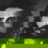 Avatar Meher Baba