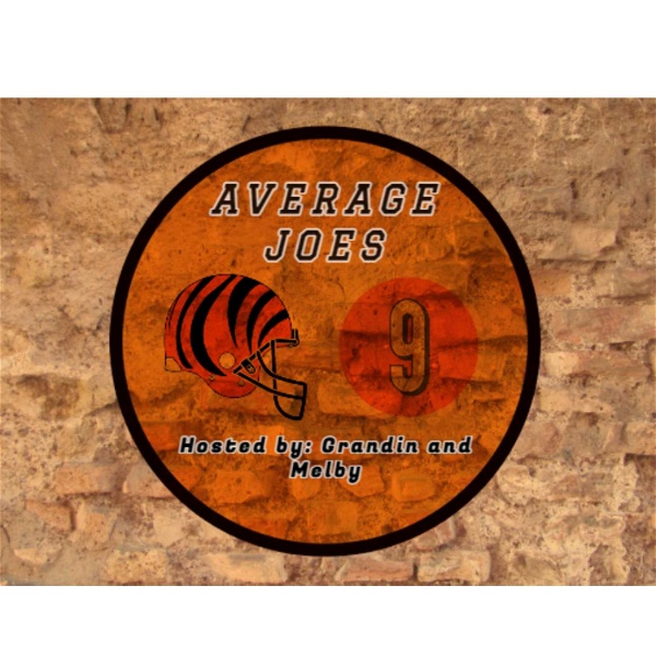 Artwork for Average Joes Podcast