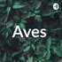 Aves