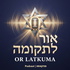 אור לתקומה - אביב חמו