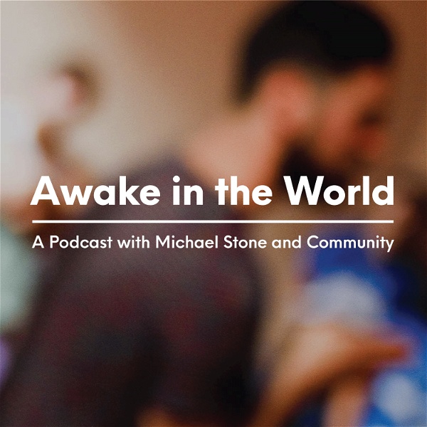Artwork for Awake in the World Podcast