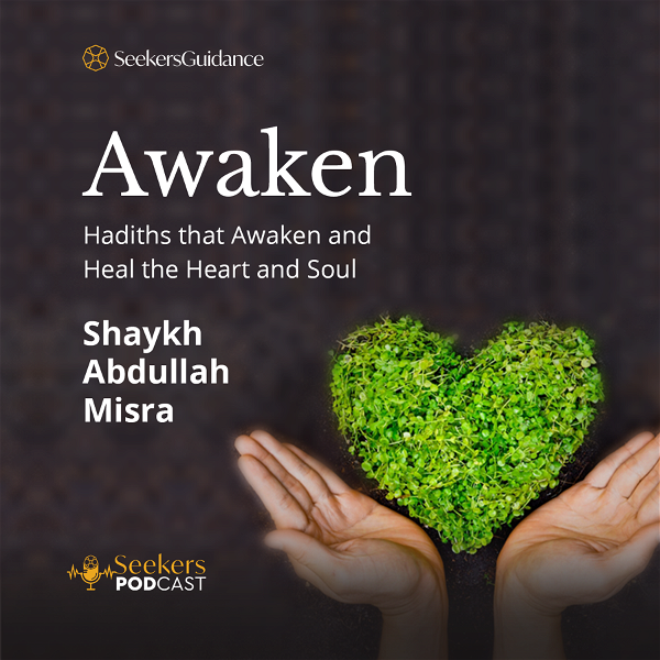 Artwork for Awaken! : Hadiths to Awaken and Heal the Heart and Soul