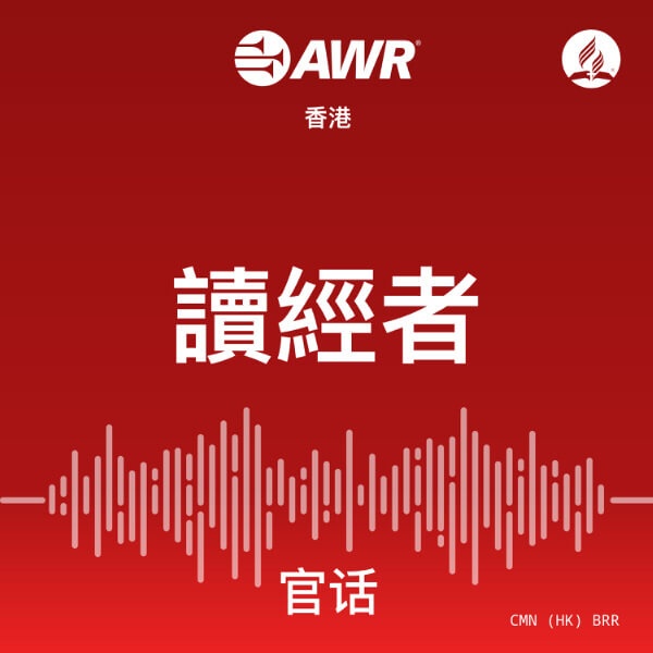 Artwork for AWR - 讀經者