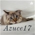 Azuce17