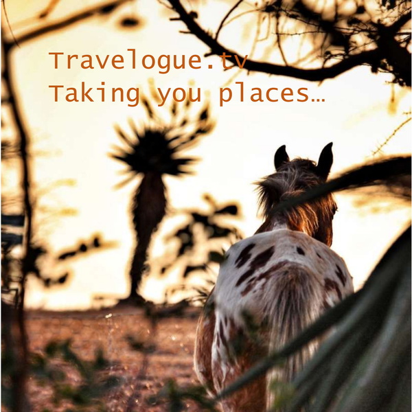 Listener Numbers, Contacts, Similar Podcasts Babanango Game Reserve