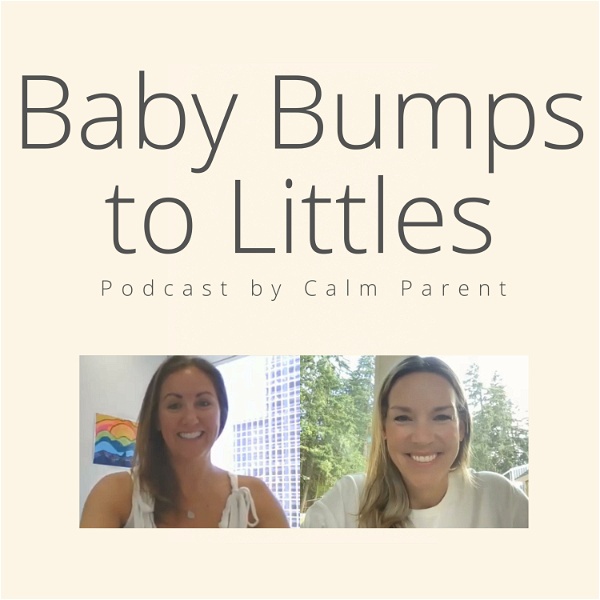 Artwork for Baby Bumps to Littles
