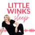 Little Winks Baby Sleep Strategies