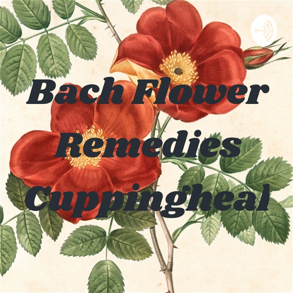 Artwork for Bach Flower Remedies Cuppingheal