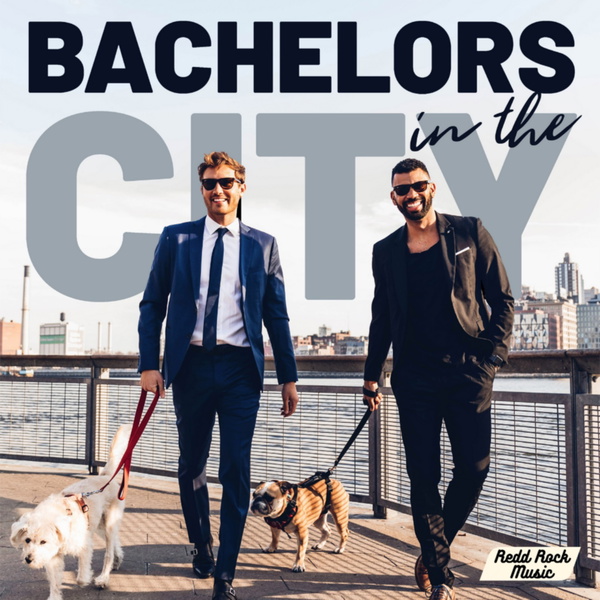 Artwork for Bachelors In The City