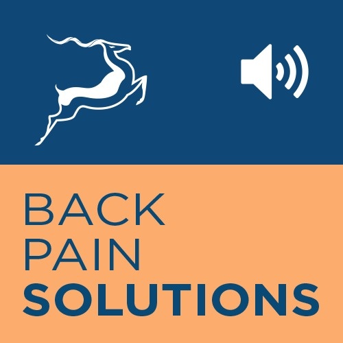 Artwork for Back Pain Solutions