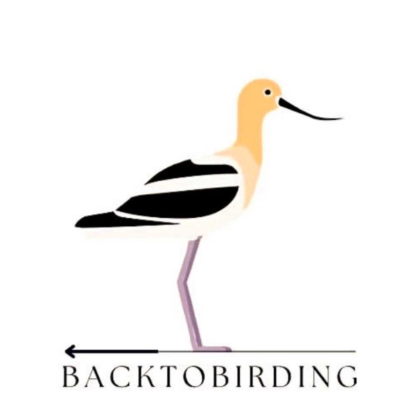 Artwork for Back to Birding