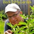 Back To My Garden - Discover Your Passion For Gardening