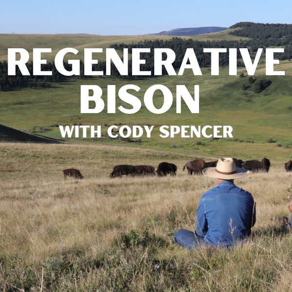 Artwork for Regenerative Bison