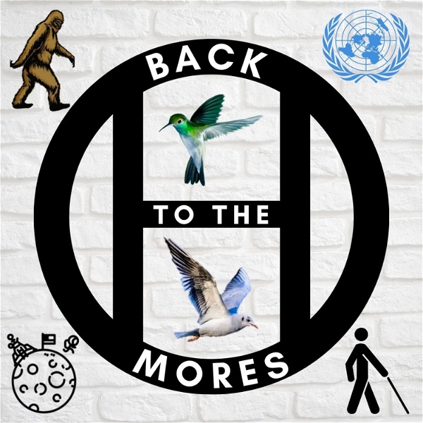 Artwork for BACK TO THE MORES