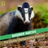 Badger Watch: The County Championship Cricket Podcast | Unspun Cricket