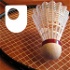 Badminton: Fitness and Training - for iPod/iPhone