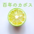 百年のカボス
