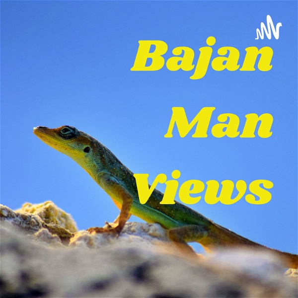 Artwork for Bajan Man Views