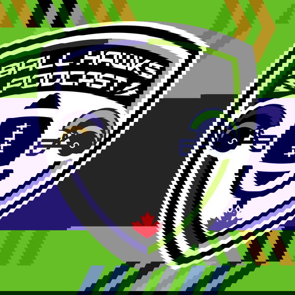 Artwork for Ball Hawks Podcast