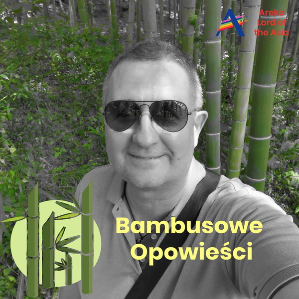 Artwork for Bambusowe Opowieści